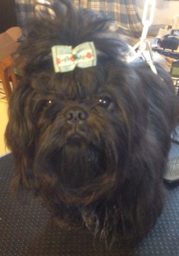 J'...lovely De La Jasse Provençale